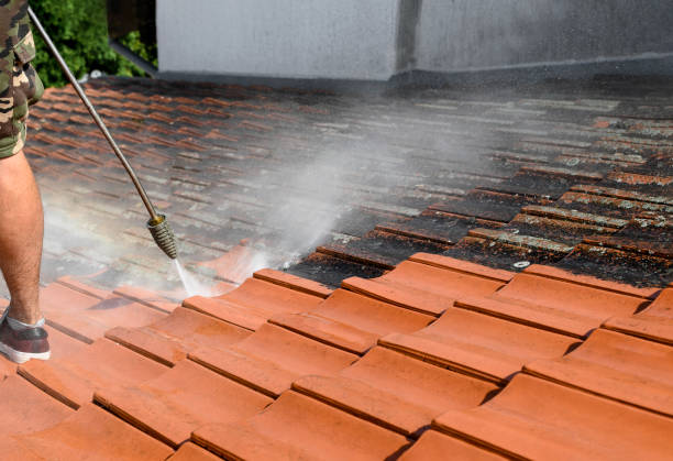 Best Residential Pressure Washing Services  in Hopewell, TN